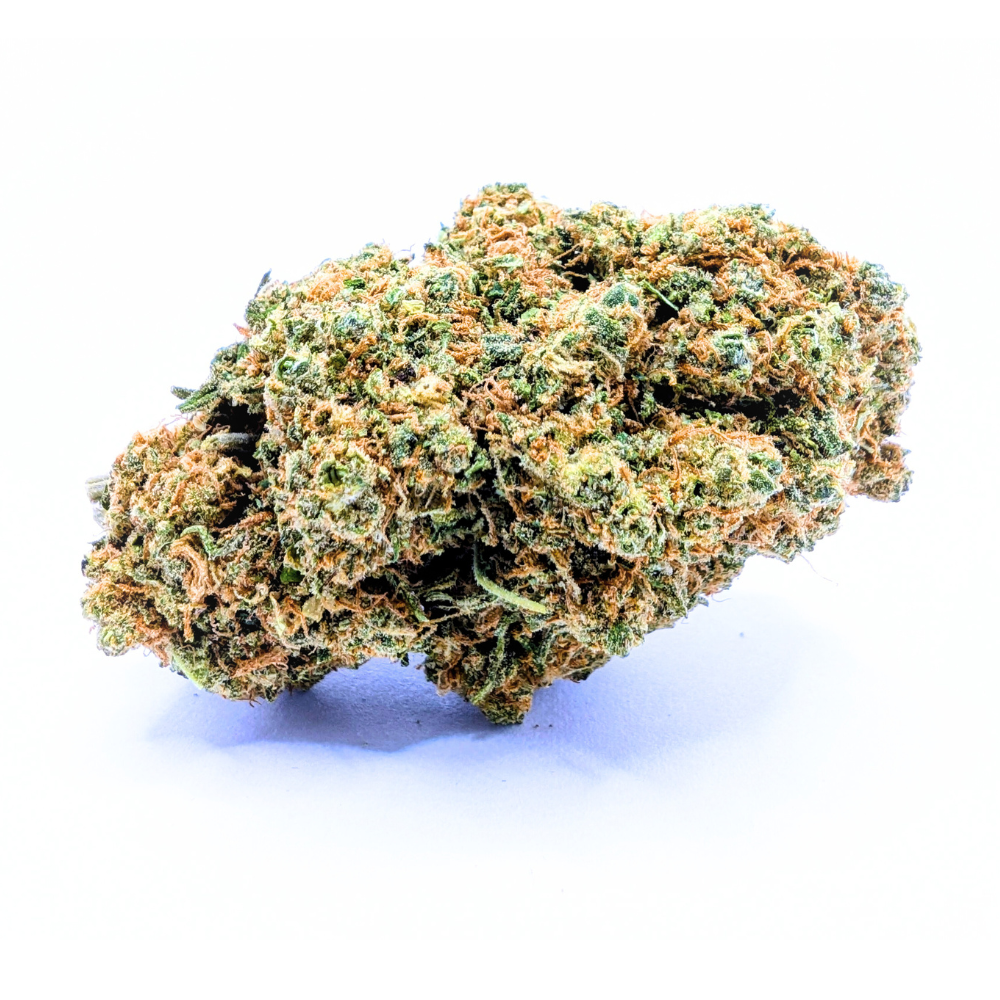 AMNESIA HYDRO 💎