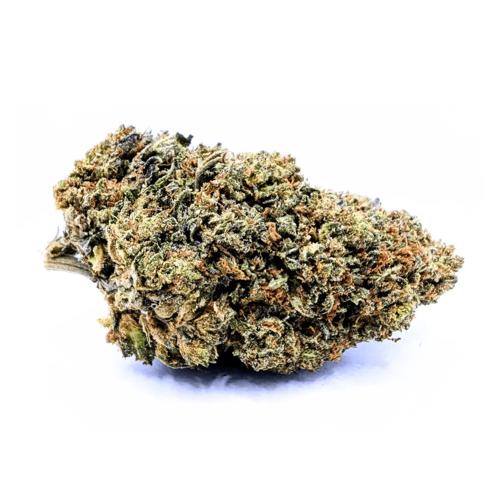 Fleur CBD NL-1 Bubba Kush 30% indoor – fleurs compactes, arômes terreux
