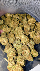 BUBBA KUSH 👽 Megadose