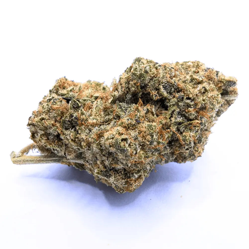 BUBBLE GUM 🍬 MEGADOSE