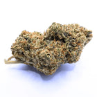 BUBBLE GUM 🍬 MEGADOSE