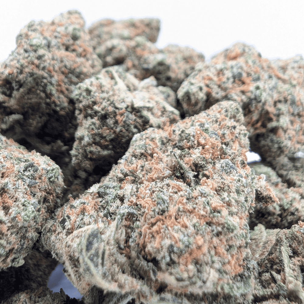 BLUEBERRY 12% CBG