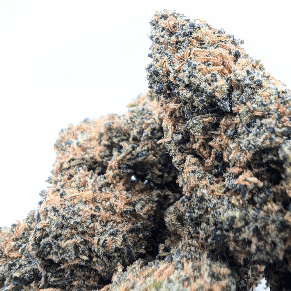 BLUEBERRY 40% NL-1 🫐