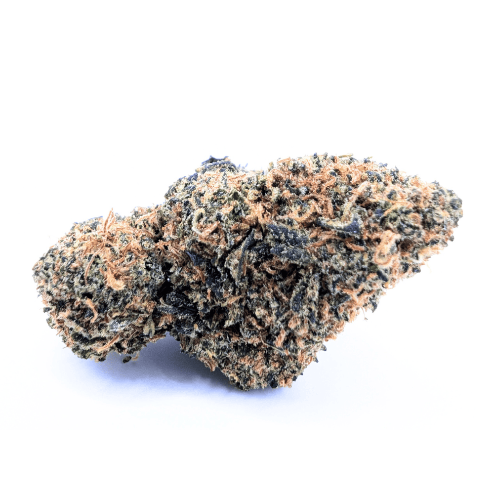 BLUEBERRY NL-1 🫐