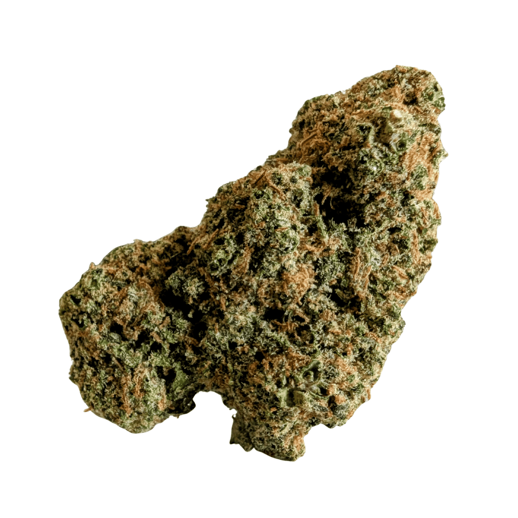 BLUEBERRY CBG 🫐