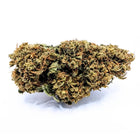 COOKIES 🍪 Megadose