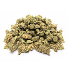 CRITICAL SB ❤️‍🔥 Megadose