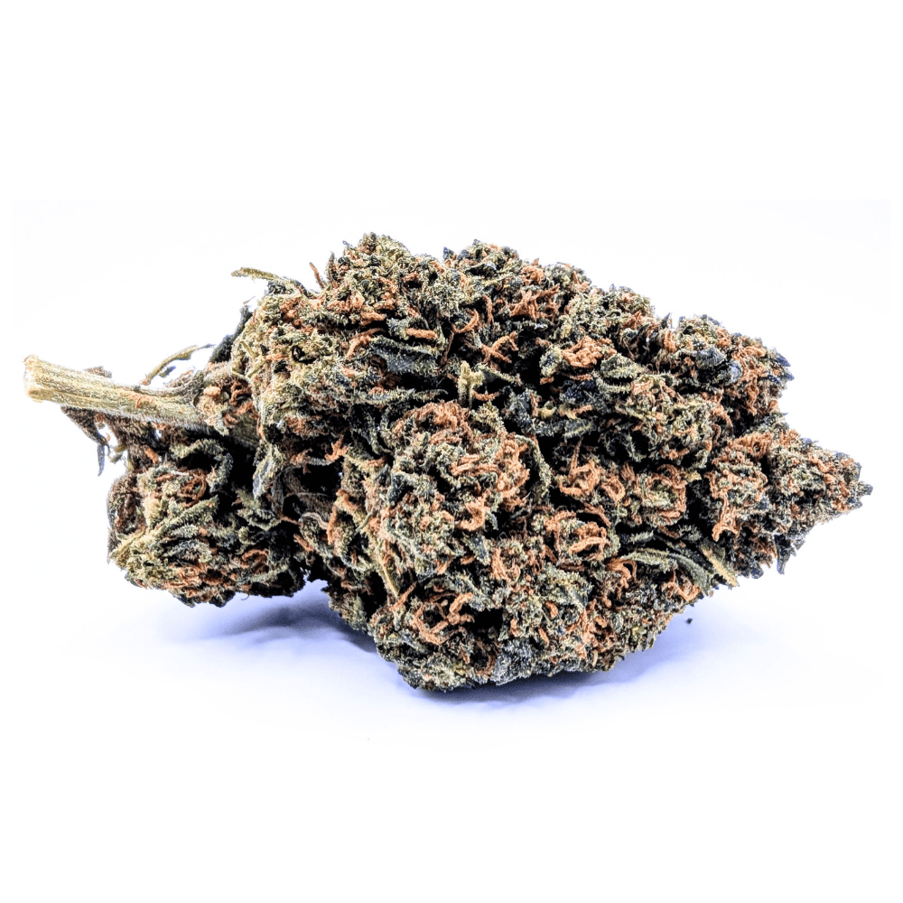 CRITICAL BERRY NL-1🫦