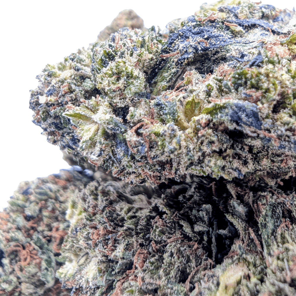 CHEESE CAKE NL-1 🍰