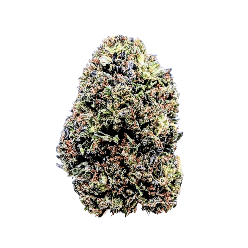 CHEESE CAKE NL-1 🍰