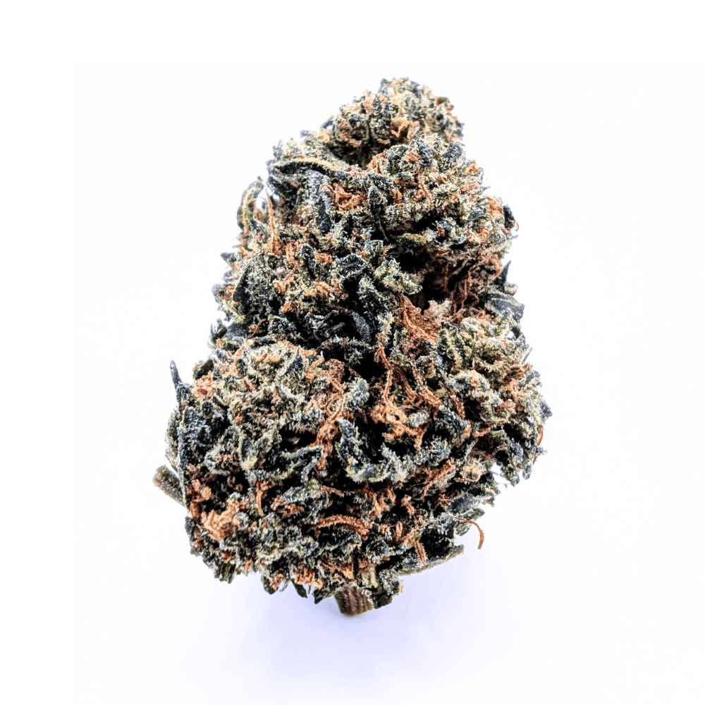 JACK HERER NL-1 🦖