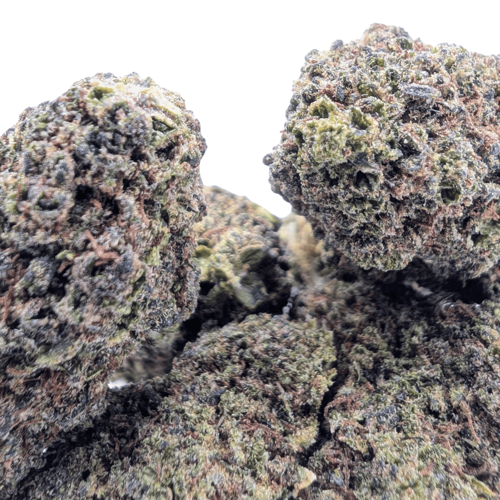 SOUR BRÛLÉ 40% NL-1 🔥