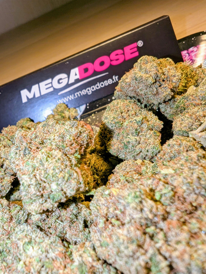 Photo produit Megadose