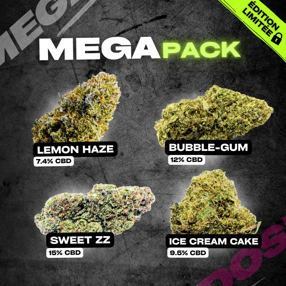 MEGAPACK PREMIUM💎 Megadose