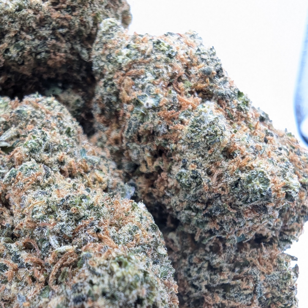 MAI THAI — 19% CBD
