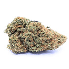 Fleur CBD NL-1 Royal OG 30% indoor – buds compacts, profil OG puissant