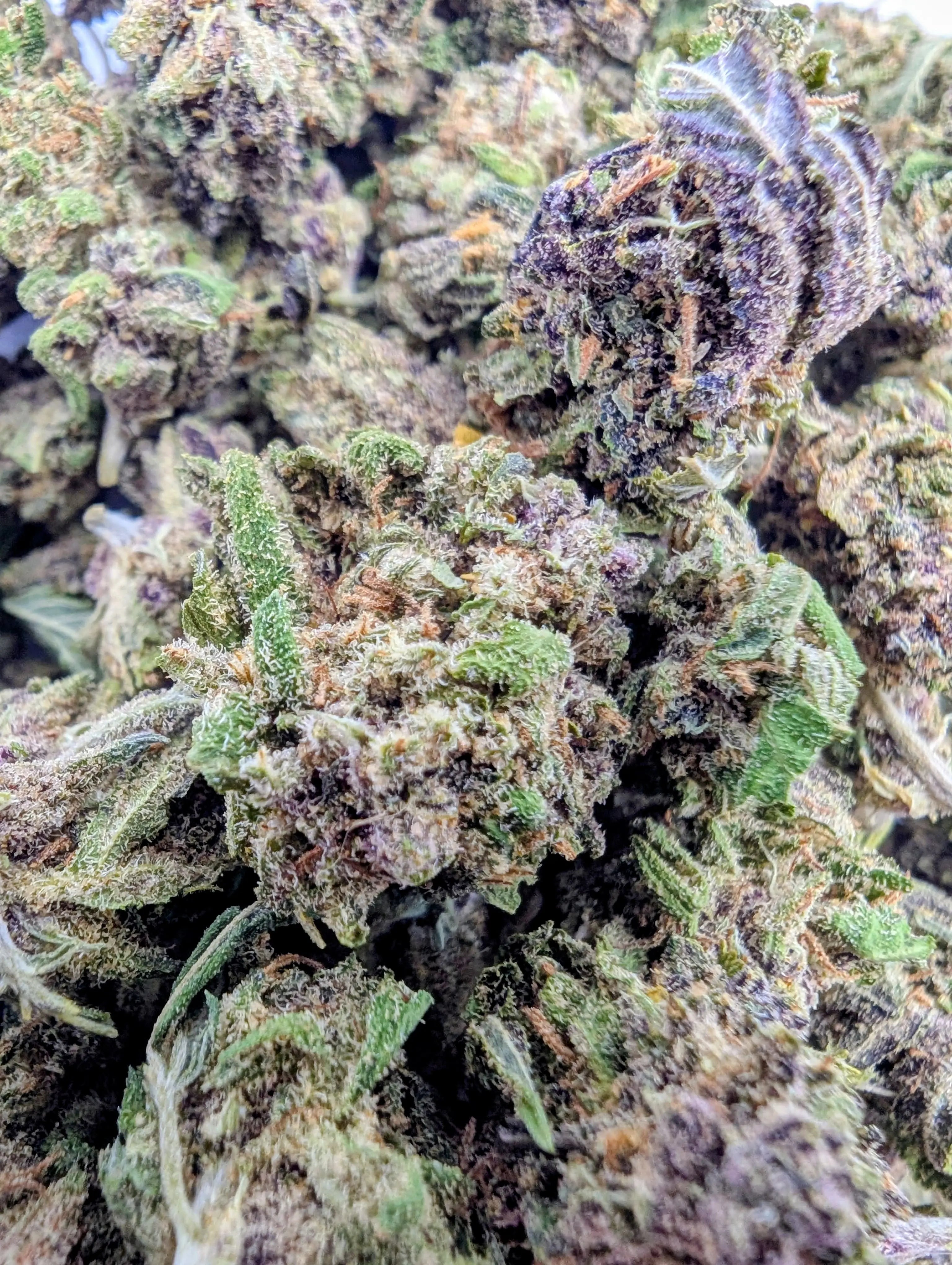 SAPPHIRE SB 💎 Megadose