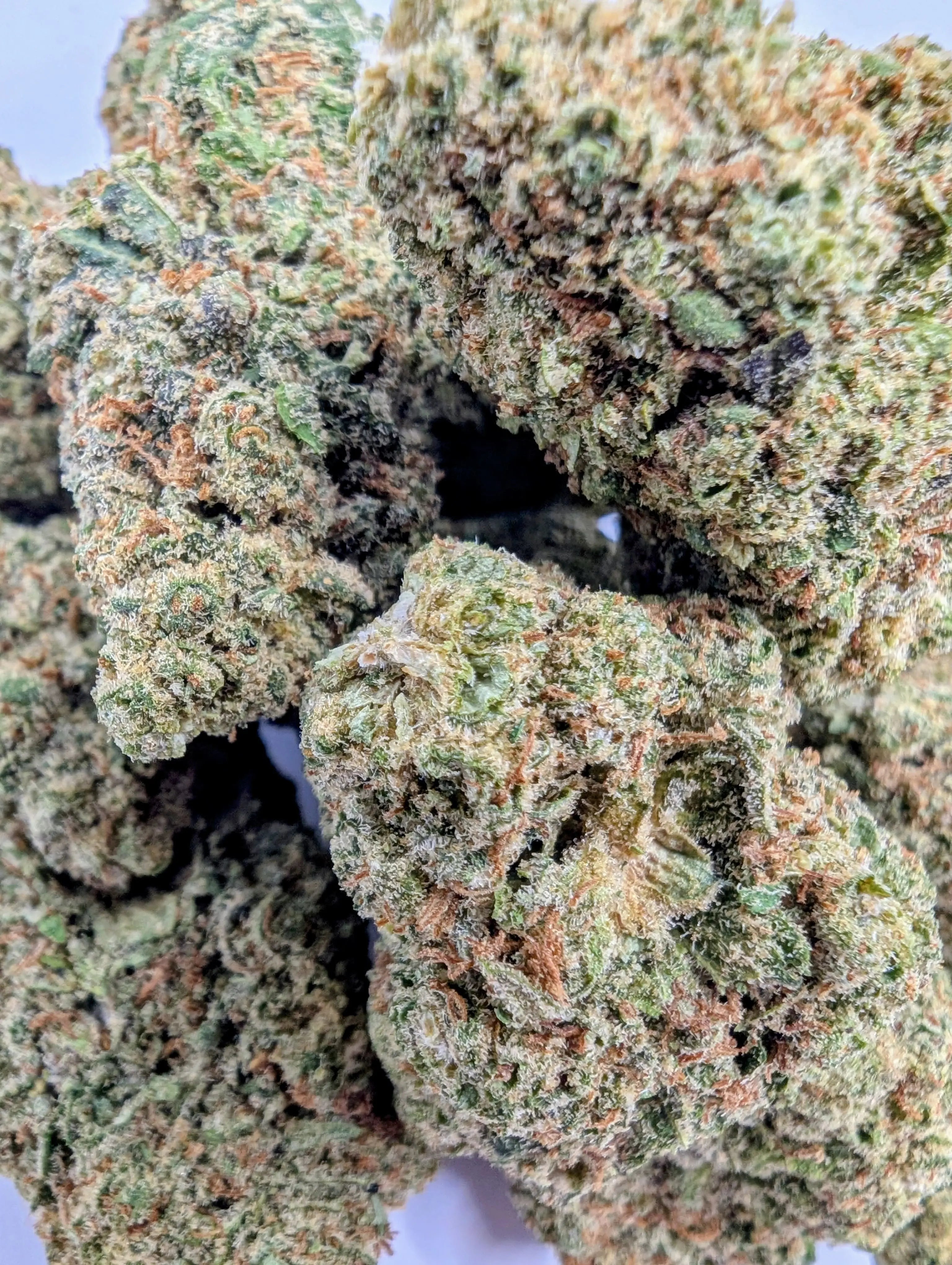 SWEET ZZ 🍭 Megadose