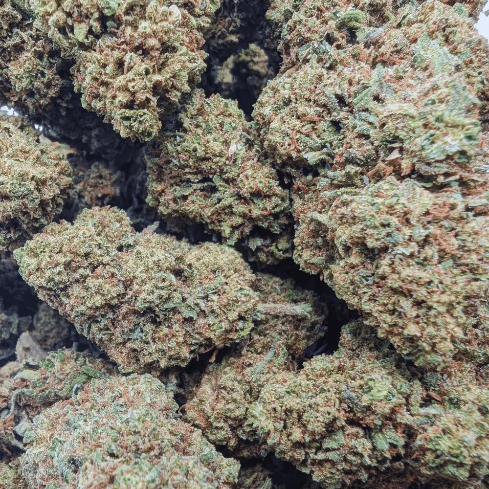 TROPICANA BANANA 🍌 Megadose