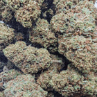 TROPICANA BANANA 🍌 Megadose