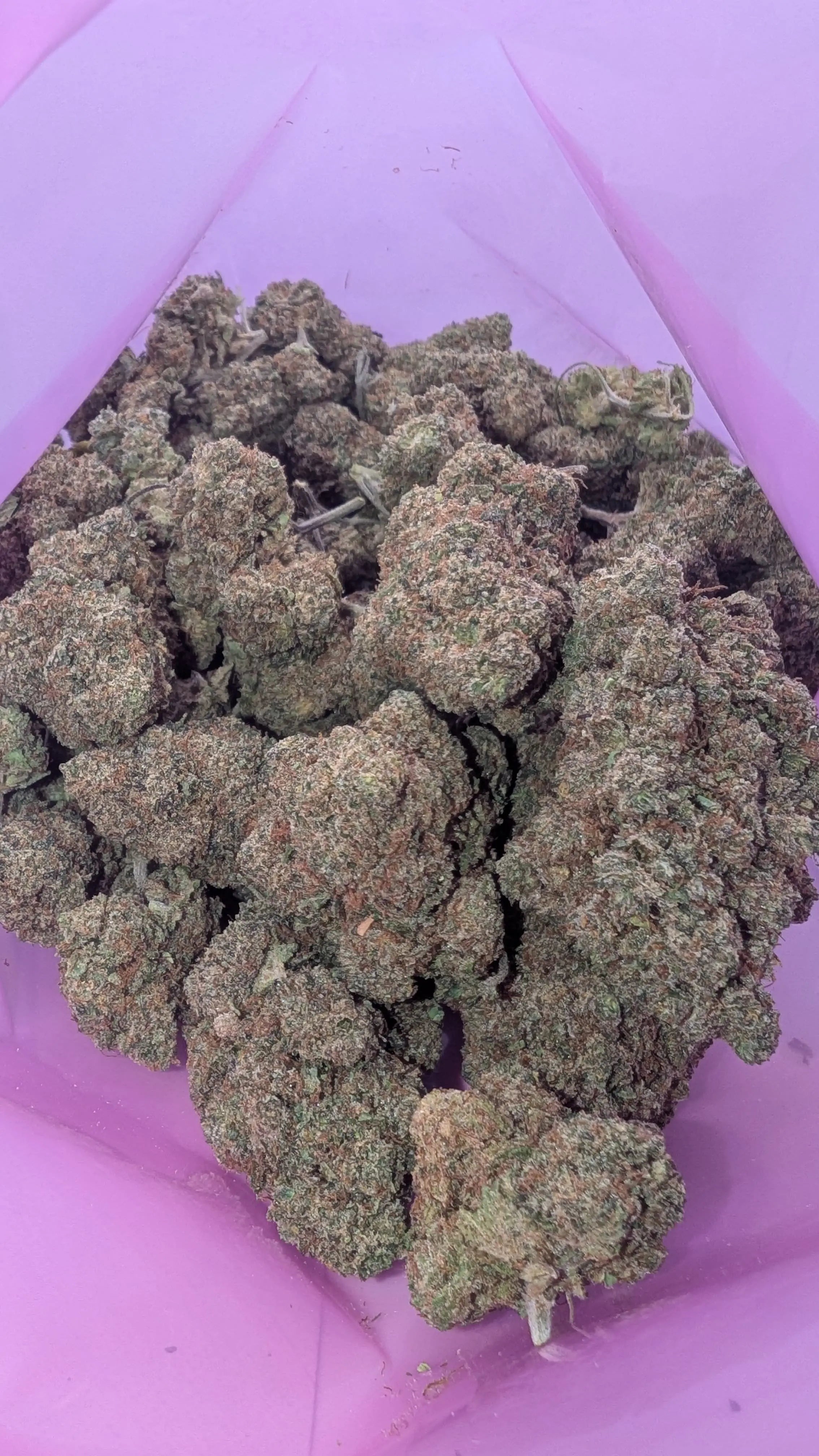 WATERMELON 🍉 Megadose