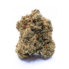 WATERMELON 🍉 Megadose