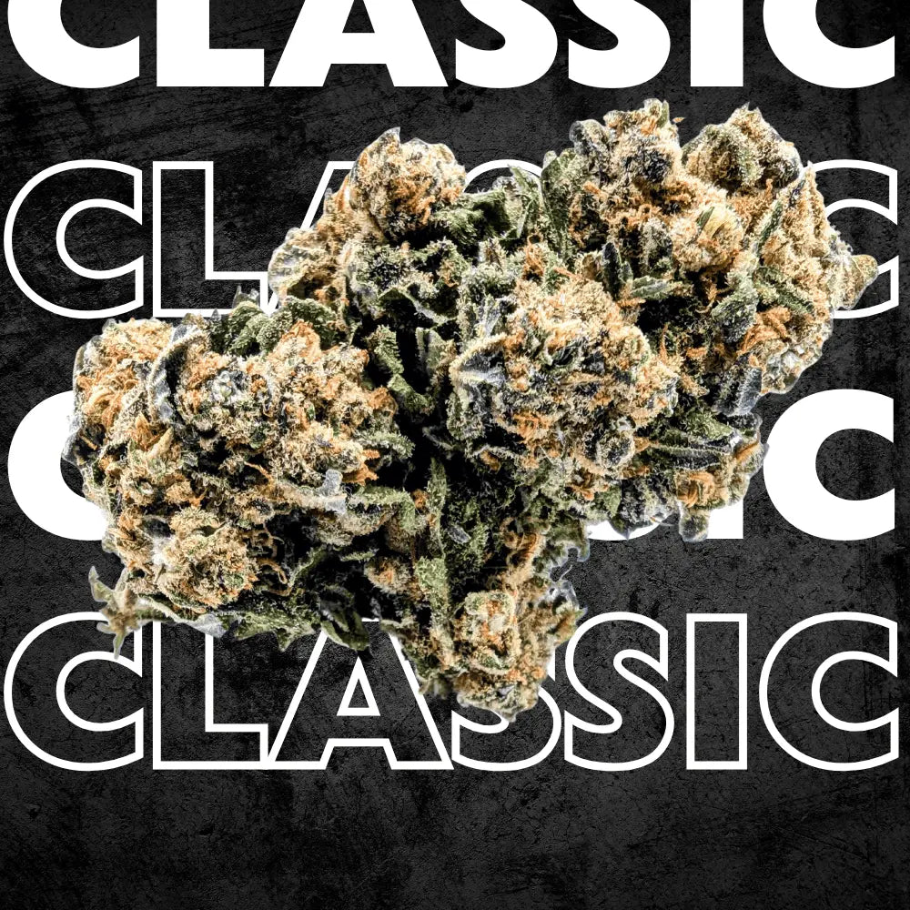 WHITE WIDOW 🕷️ Megadose