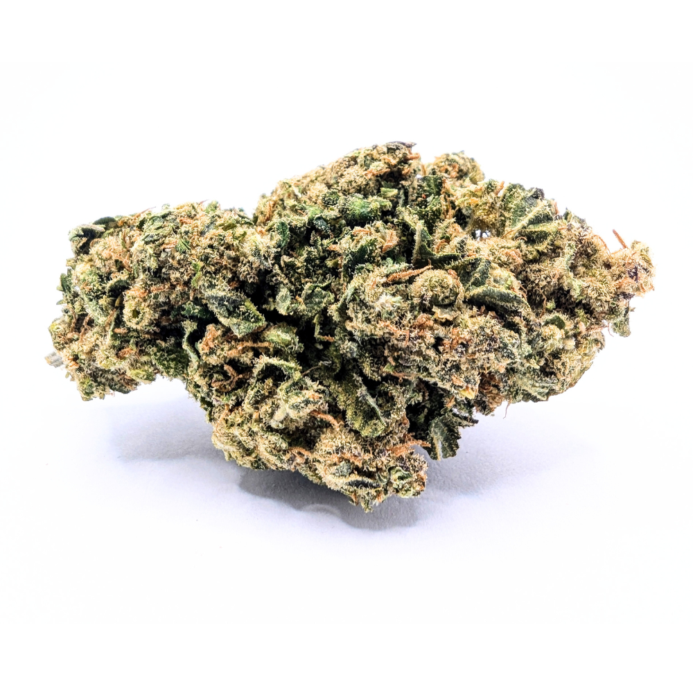 WHITE WIDOW 🕷️