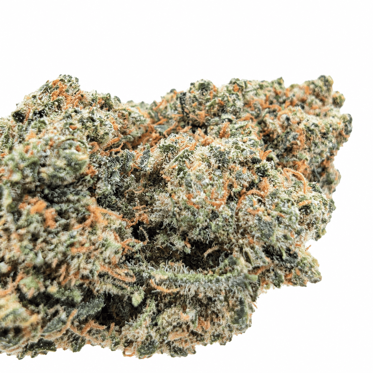 Gros plan des fleurs Amnesia Haze CBD 12 % cultivées en hydroponie en Suisse