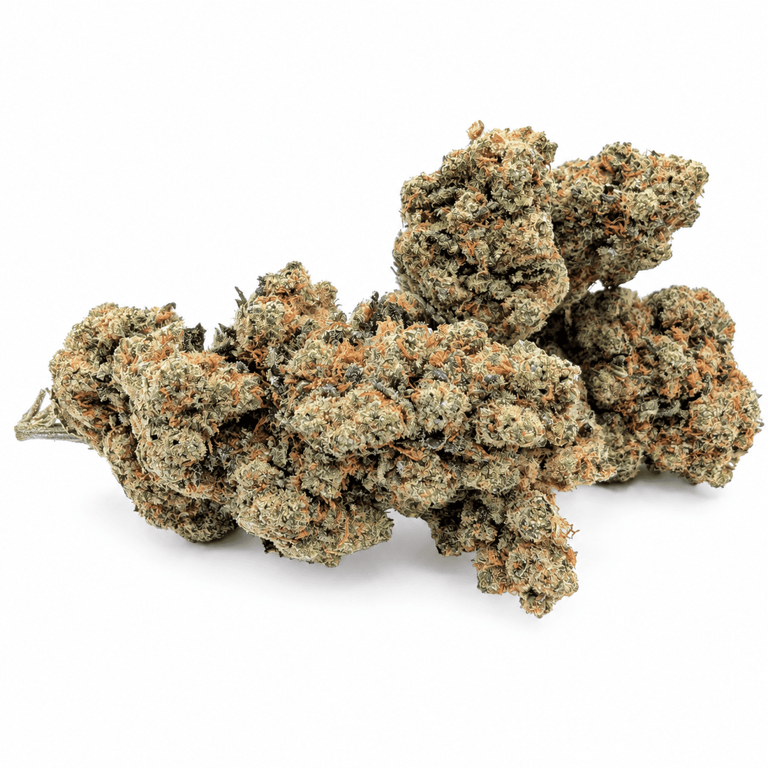 Fleurs Amnesia Haze CBD 11 % hydroponiques suisses proposées par Megadose