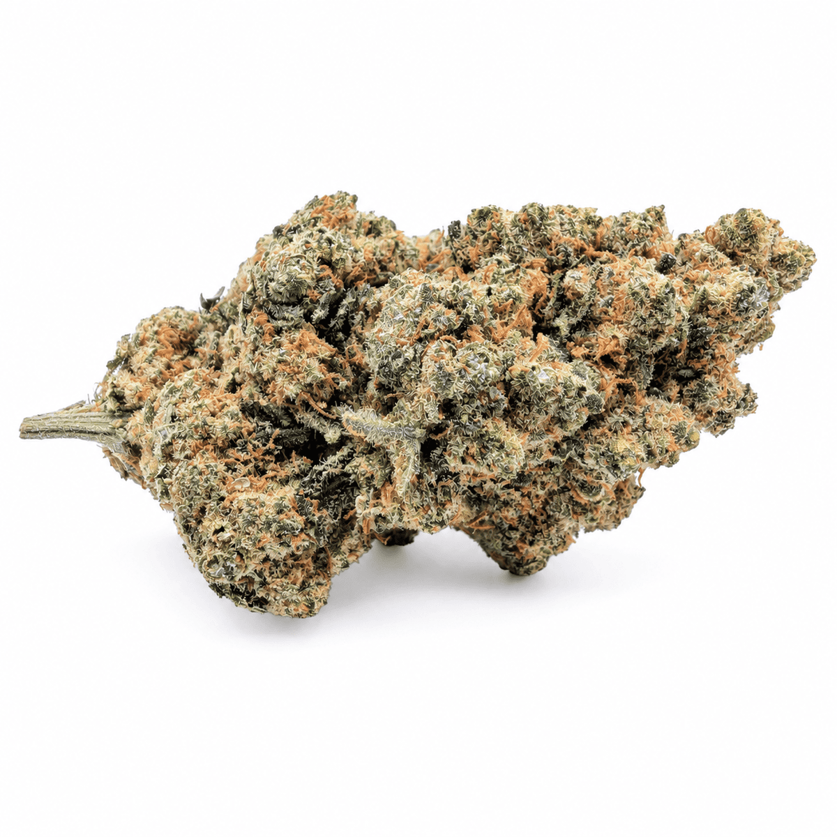 Fleur Amnesia Haze Super Strain 12 % CBD hydroponique cultivée en Suisse