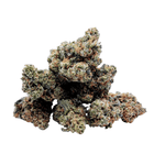 Fleurs NL-1 Amnesia Haze — vue d’ensemble des têtes