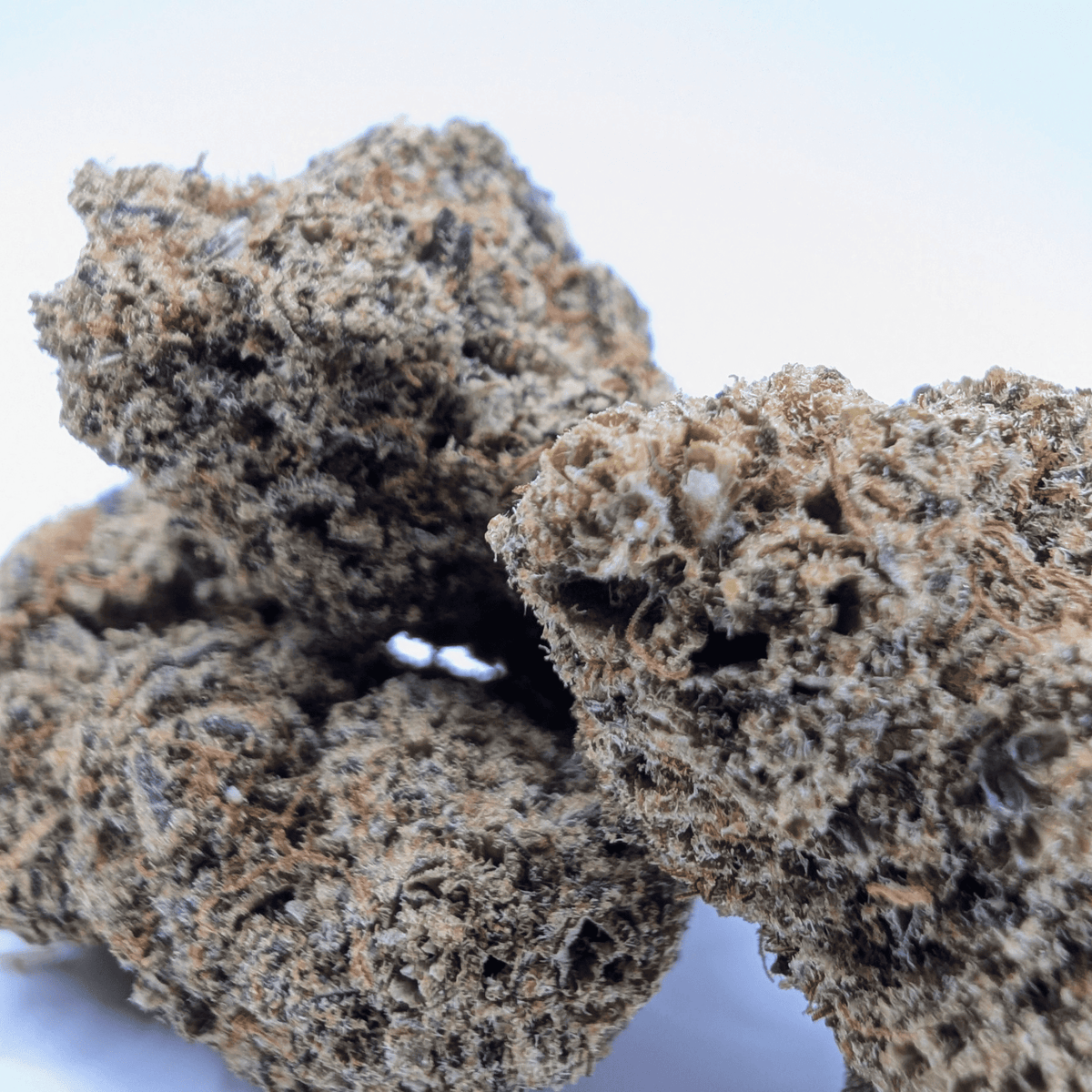Fleur CBD Bubble Gum — gros plan sur plusieurs têtes