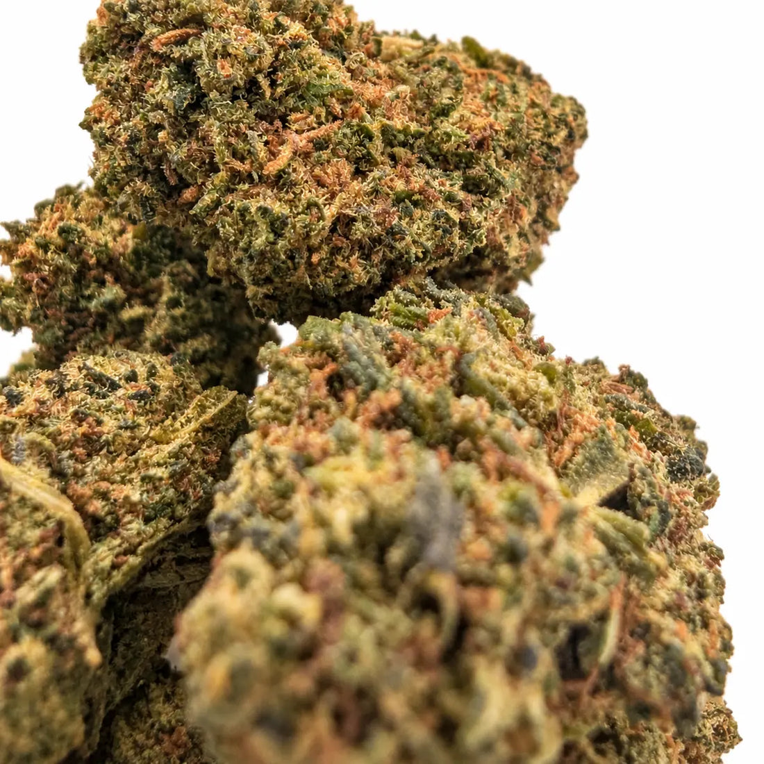 Détail de la texture des fleurs Candy 40 % NL-1 Glasshouse – Megadose