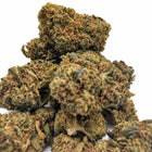 Gros plan sur les fleurs Candy 40 % NL-1 Glasshouse – Megadose