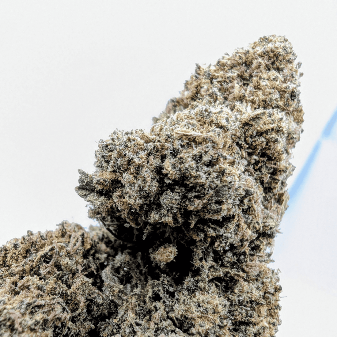 Fleur CBD Candy Kush 13% — Glasshouse