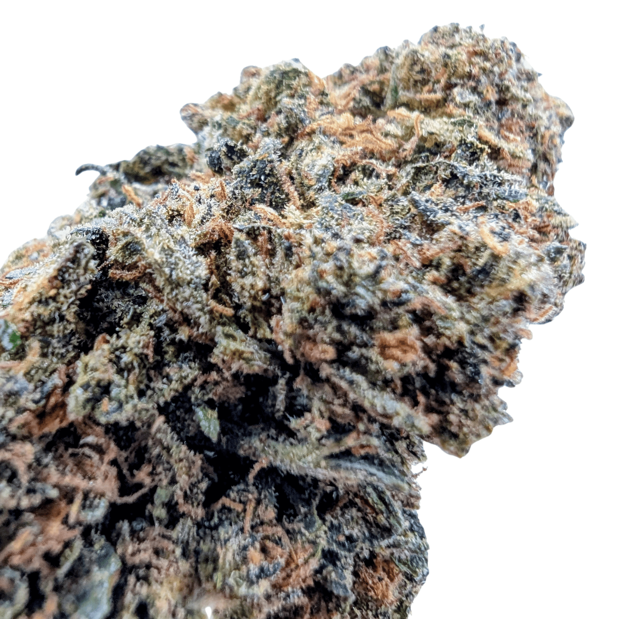 CHERRY GLUE CBD - photo 2