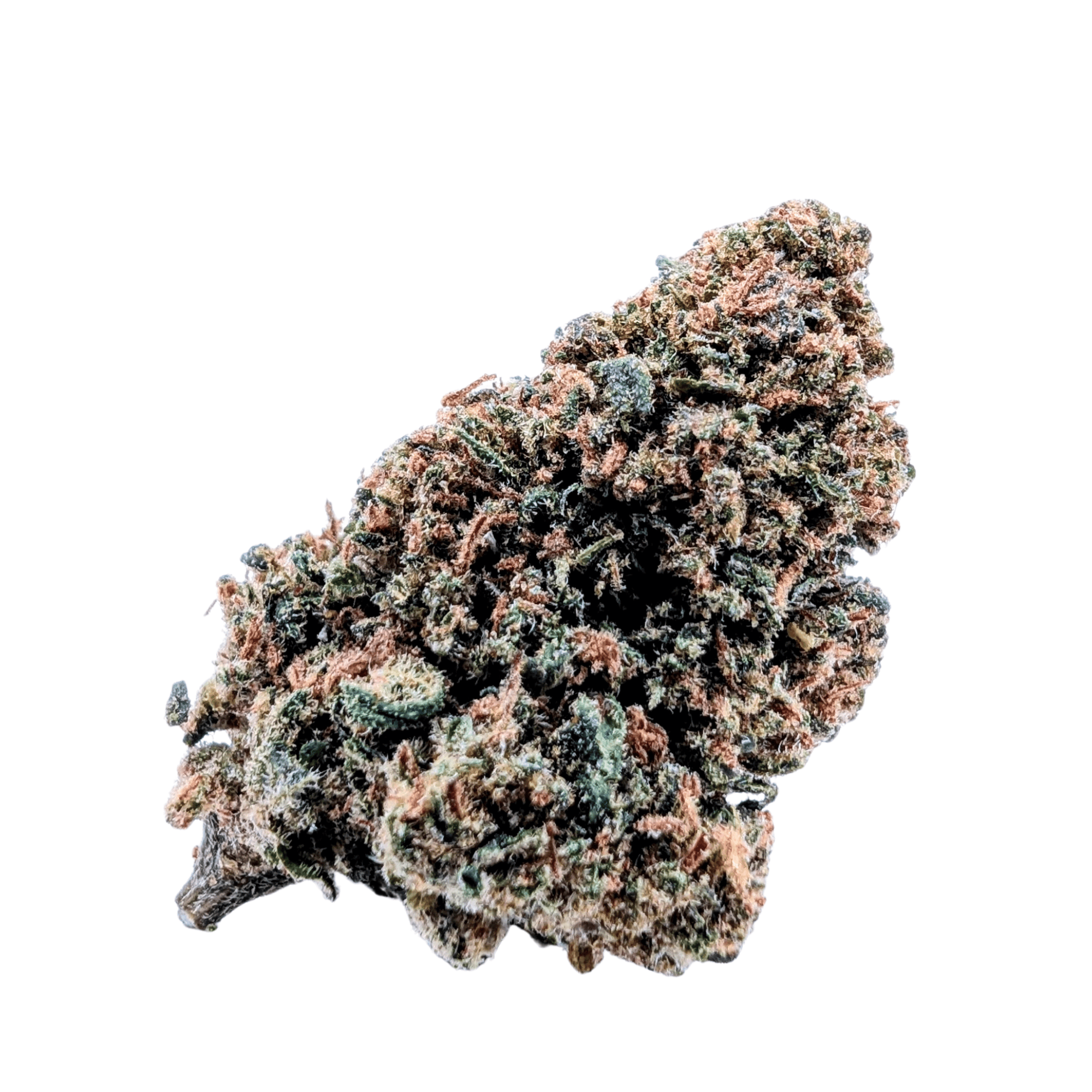 COSMIC KUSH CBD