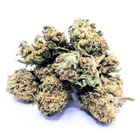Critical Berry Glasshouse 12% CBD Suisse, fleur CBD en packshot sur fond clair