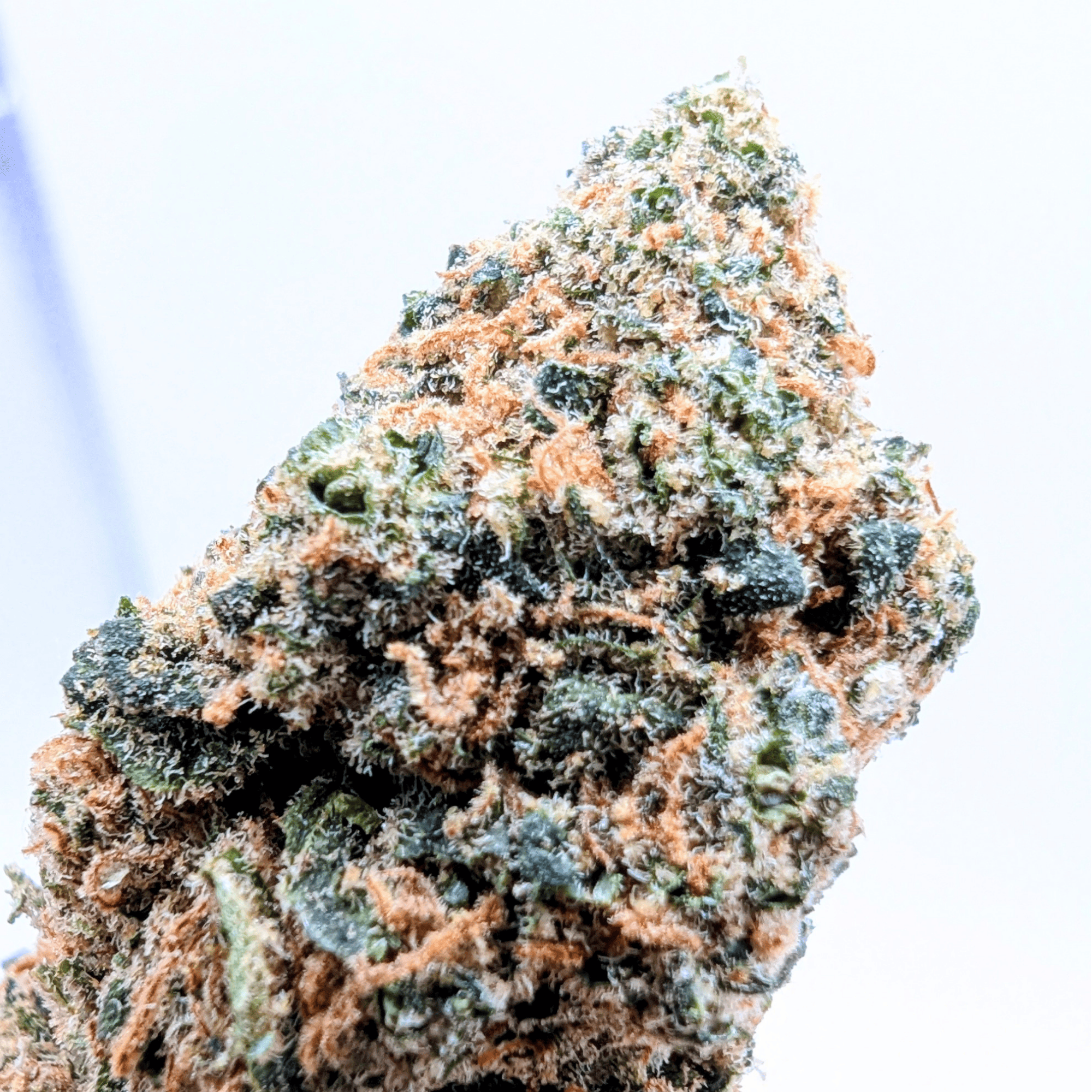 BLUE LAGON CBD 💙