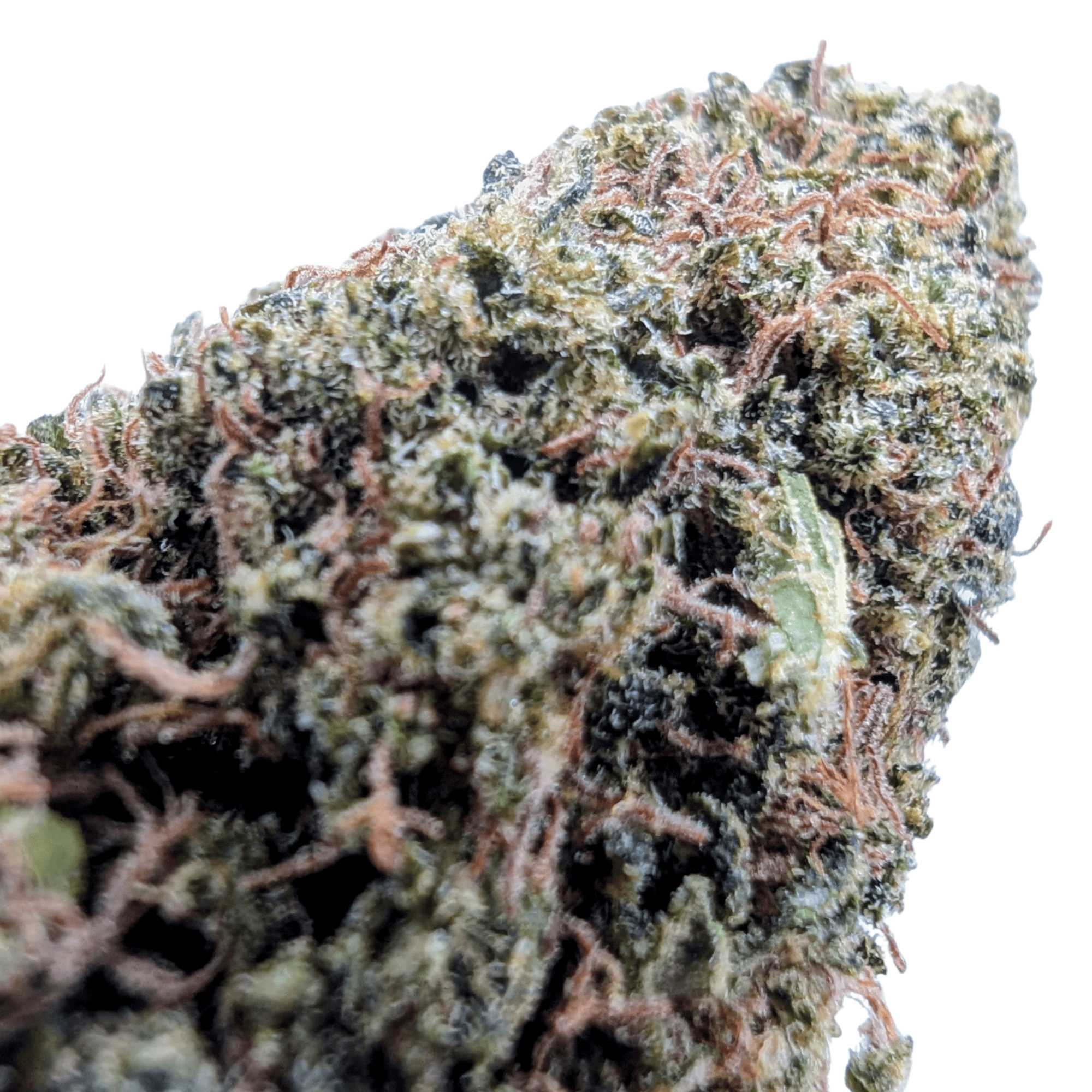 GOLDEN HAZE CBD - photo 2