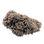 Fleur CBD Gorilla Glue — tête isolée sur fond blanc