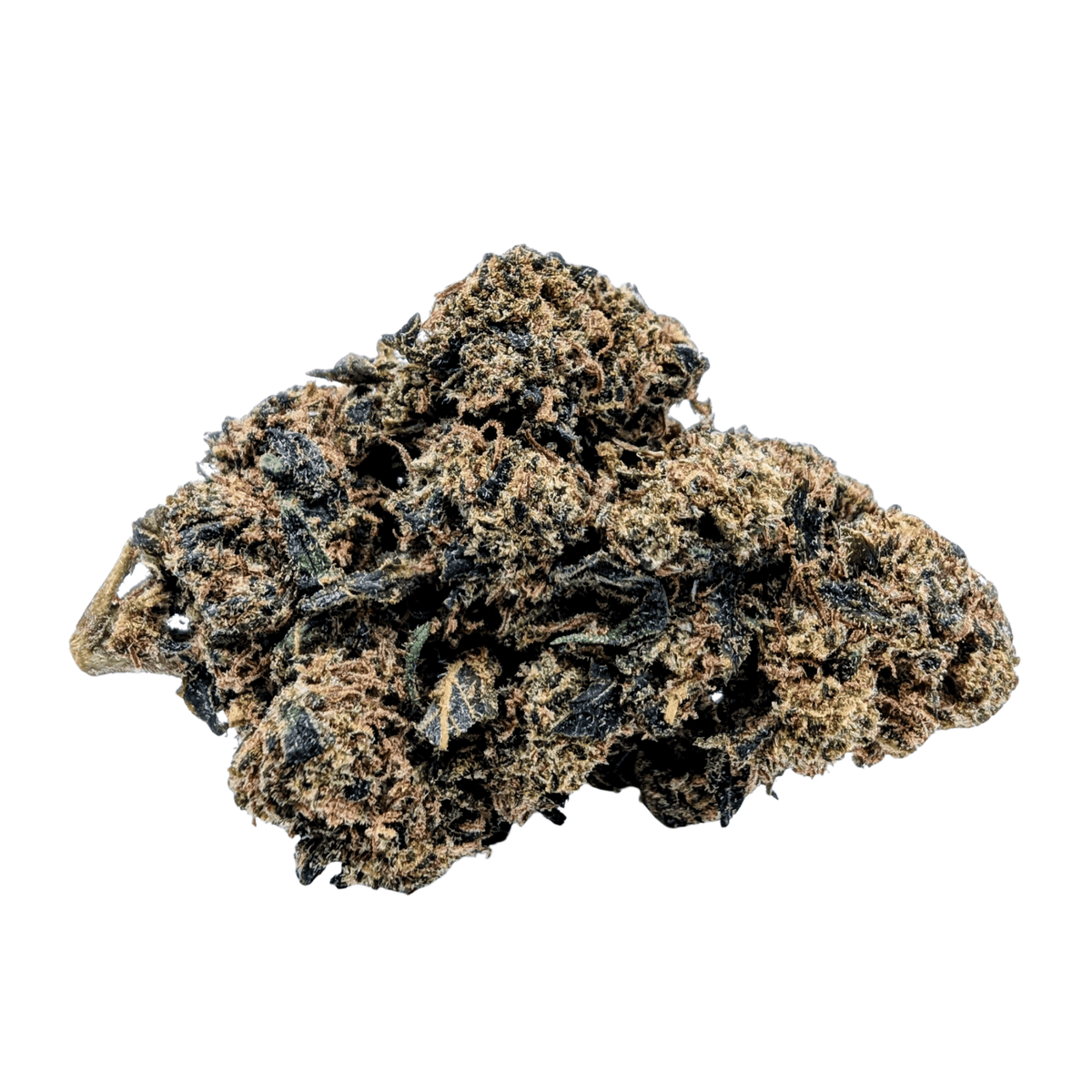 JACK HERER NL-1 🦖