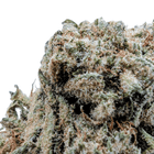 Fleur CBD Lemon Candy 15% — Greenhouse