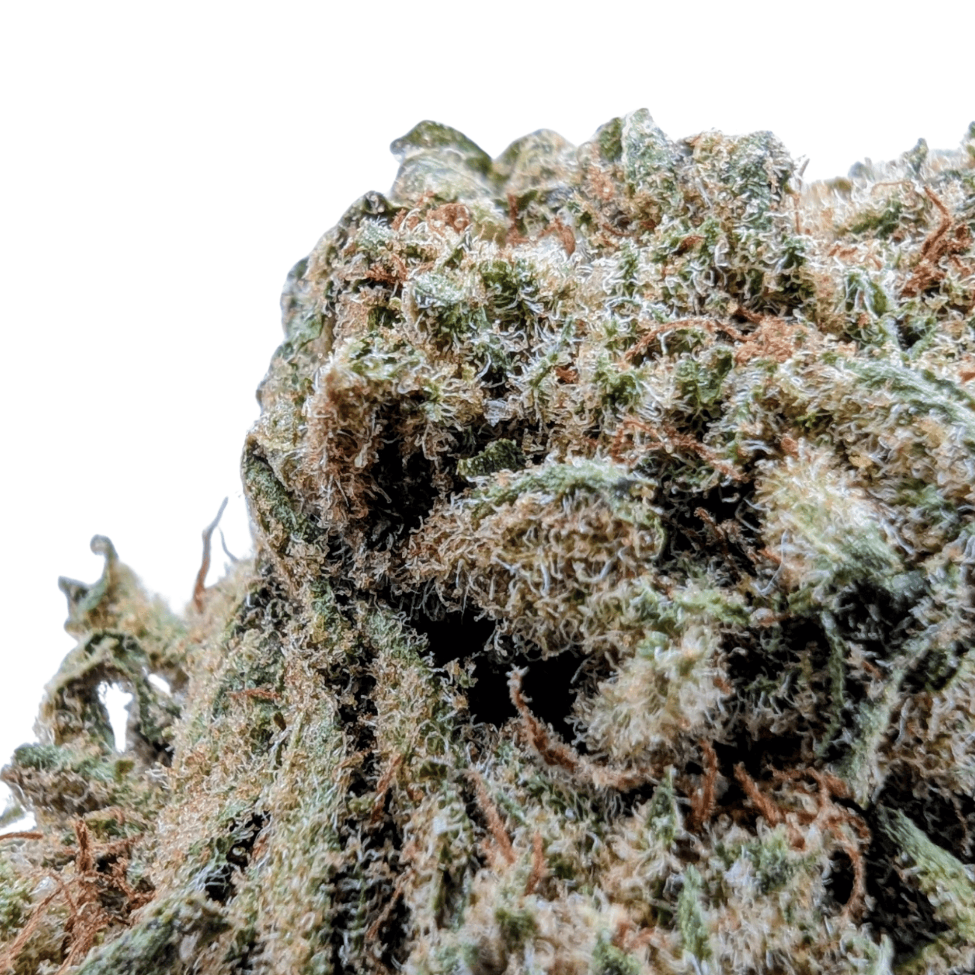 LEMON CANDY CBD - photo 2