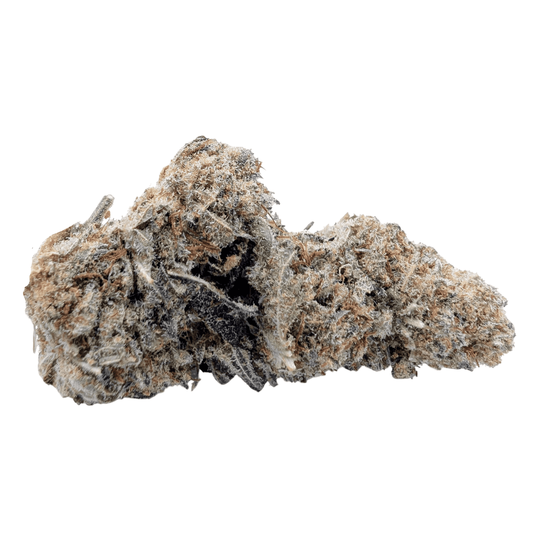 Fleur CBD Lemon Haze — plusieurs têtes sur fond blanc