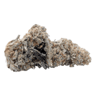 Fleur CBD Lemon Haze — plusieurs têtes sur fond blanc