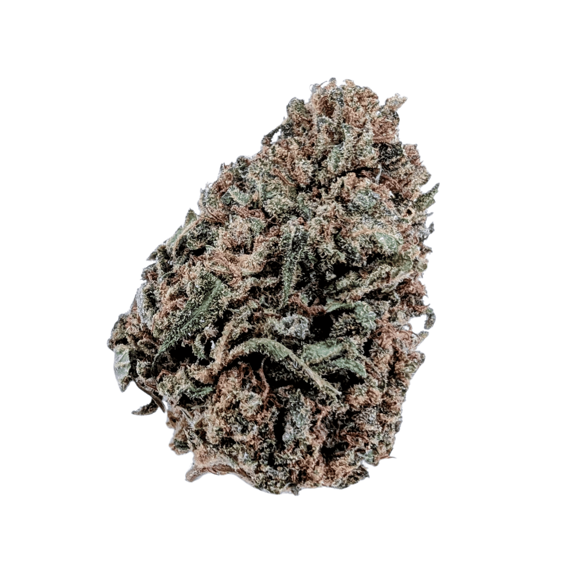 LEMON SORBET CBD