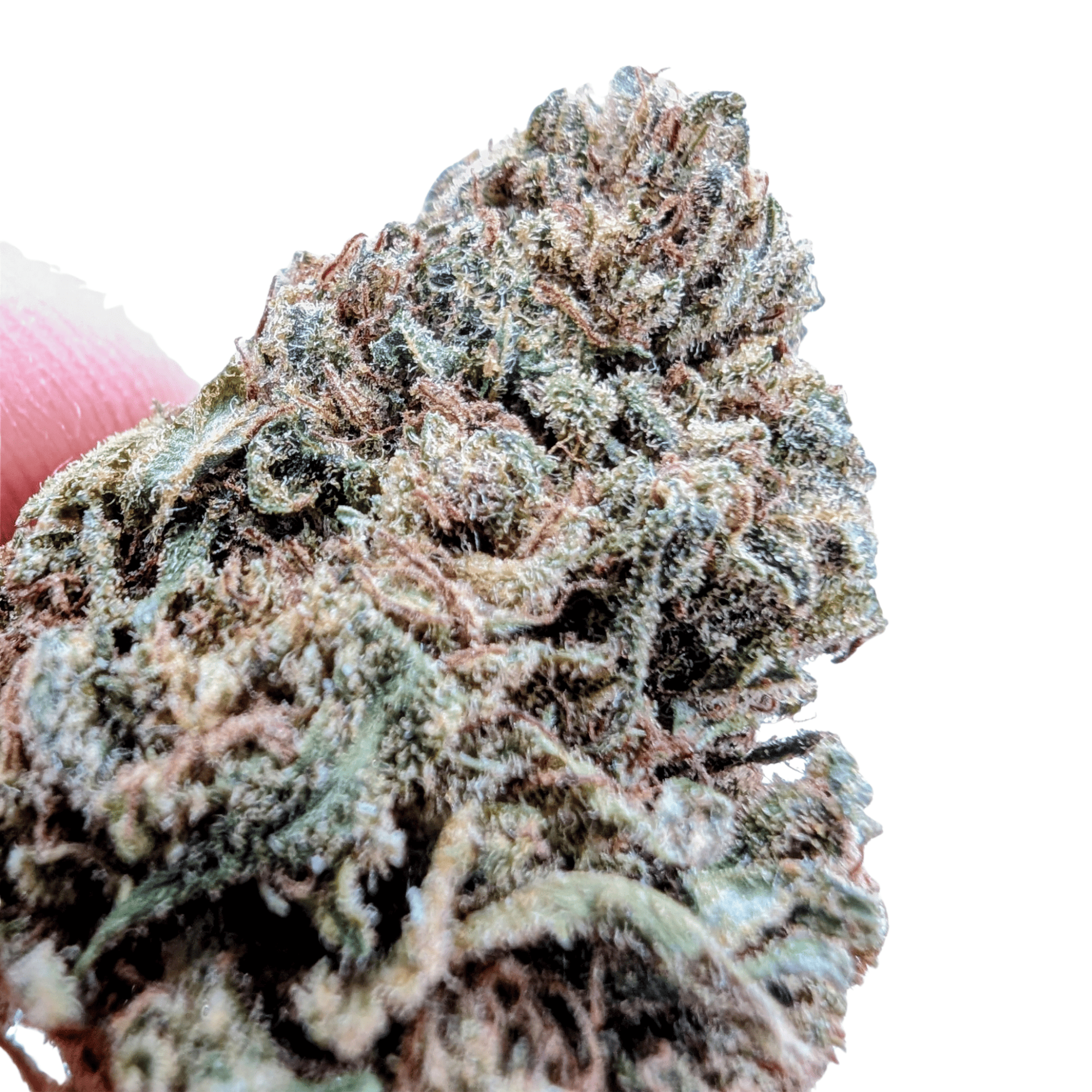 LEMON SORBET CBD - photo 2