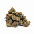Small buds Orange Cookies Indoor NL-1 40 % proposées par Megadose